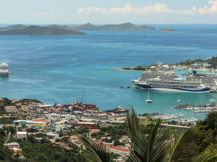 BVI Fungi Festival