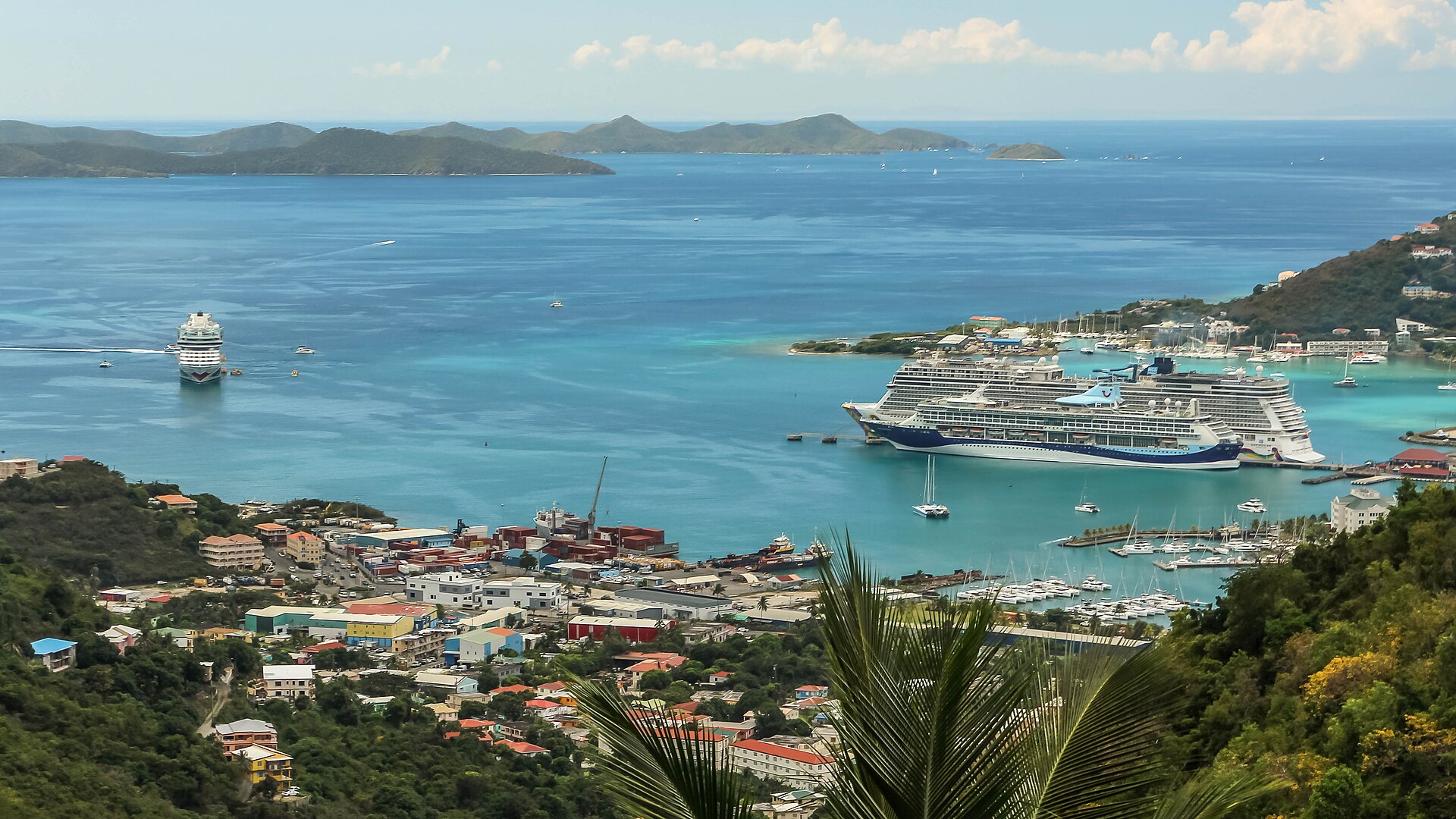 BVI Fungi Festival
