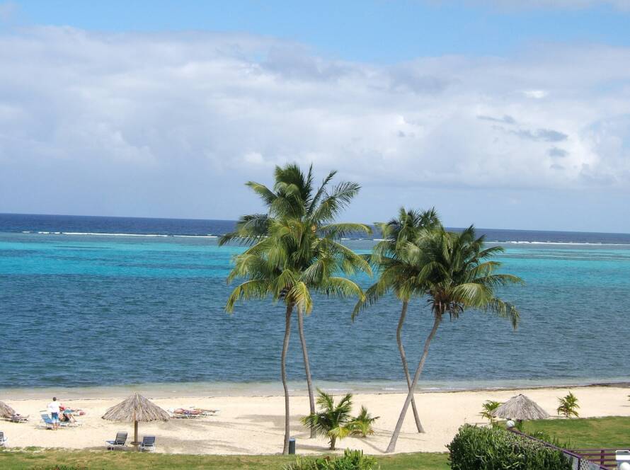 Crucian Coconut Festival