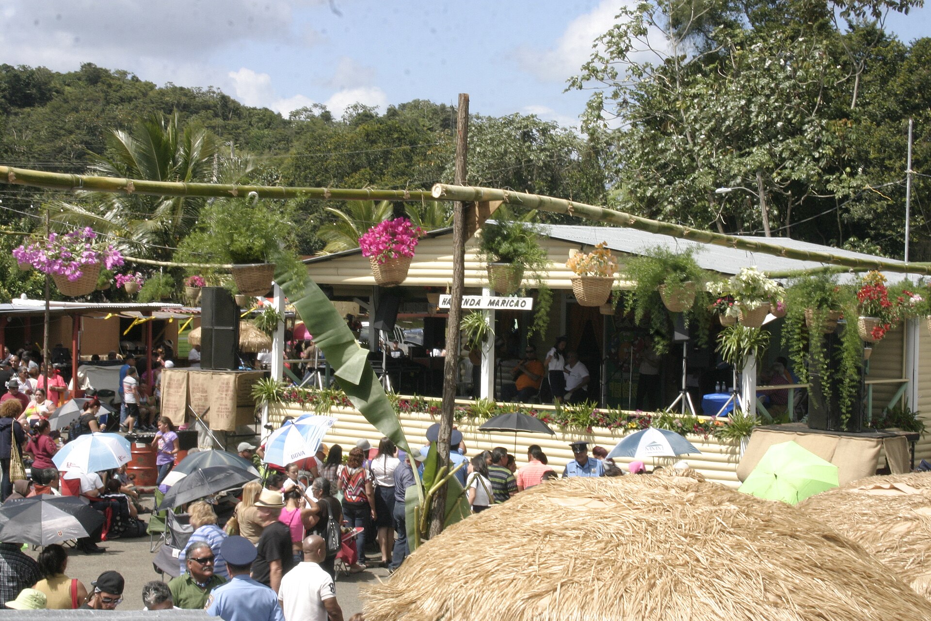 Maricao Sabe a Café