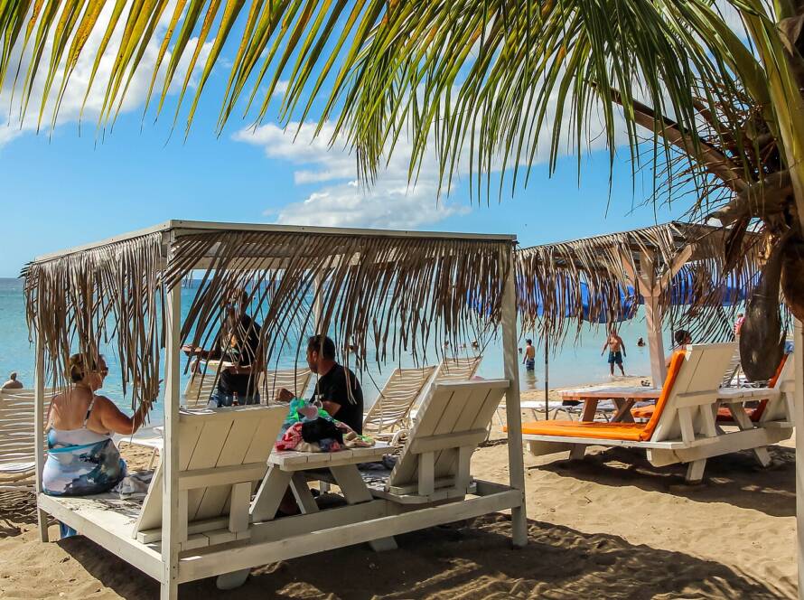 Nevis Mango Festival