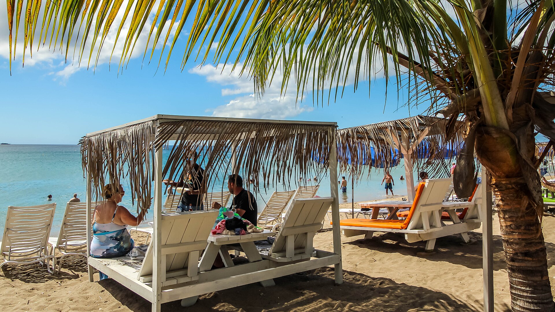 Nevis Mango Festival