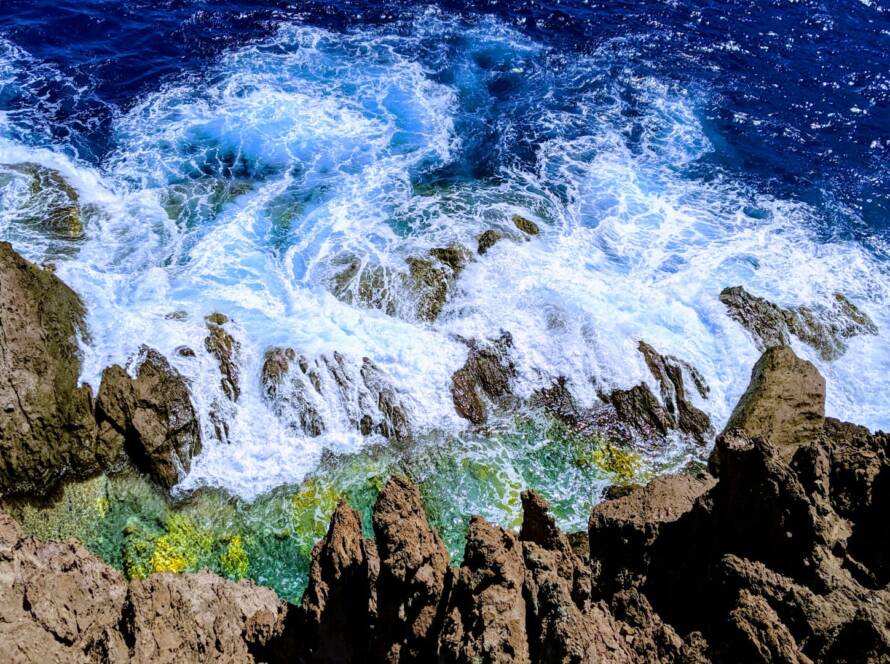 Sea & Learn on Saba