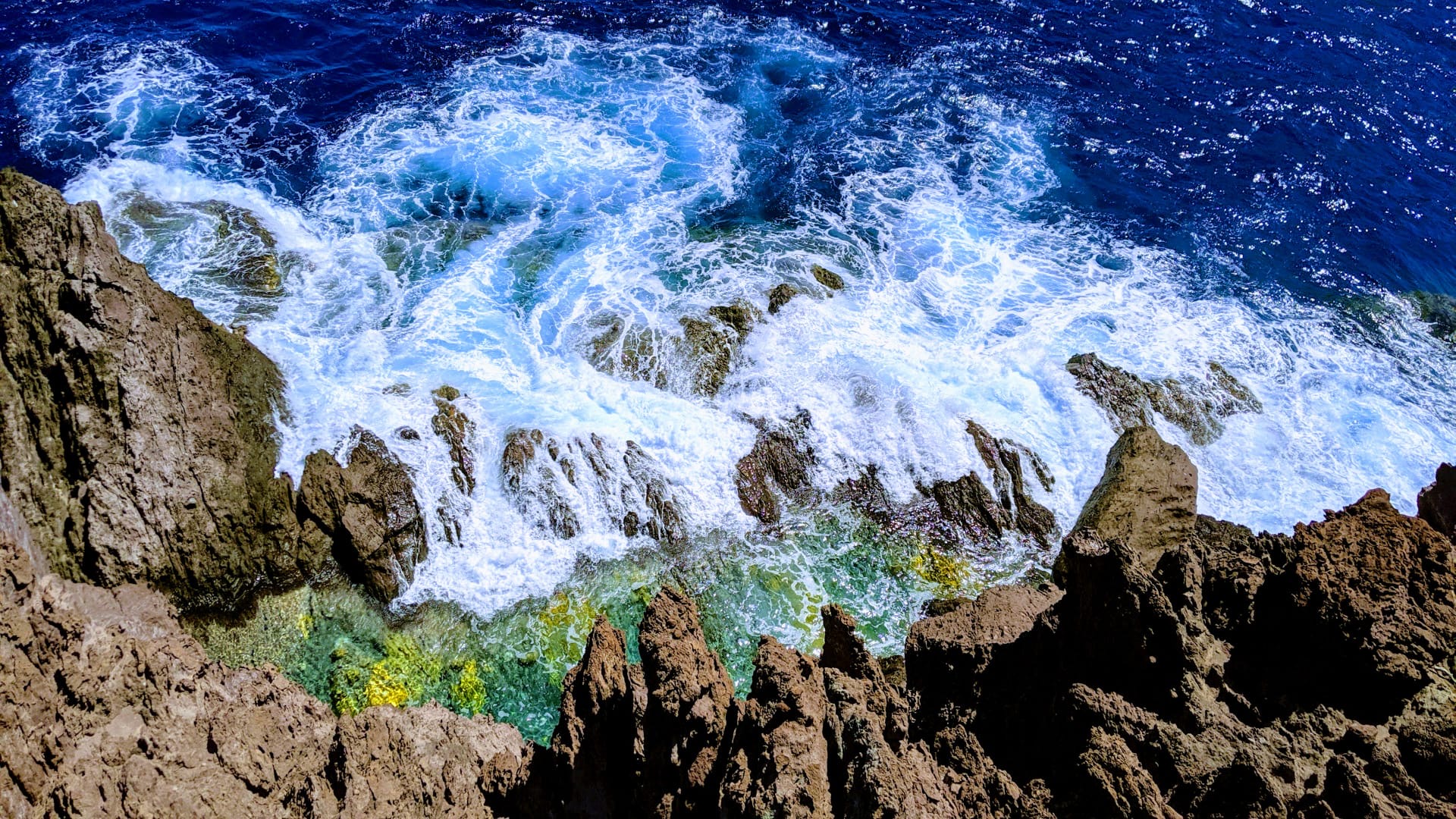 Sea & Learn on Saba