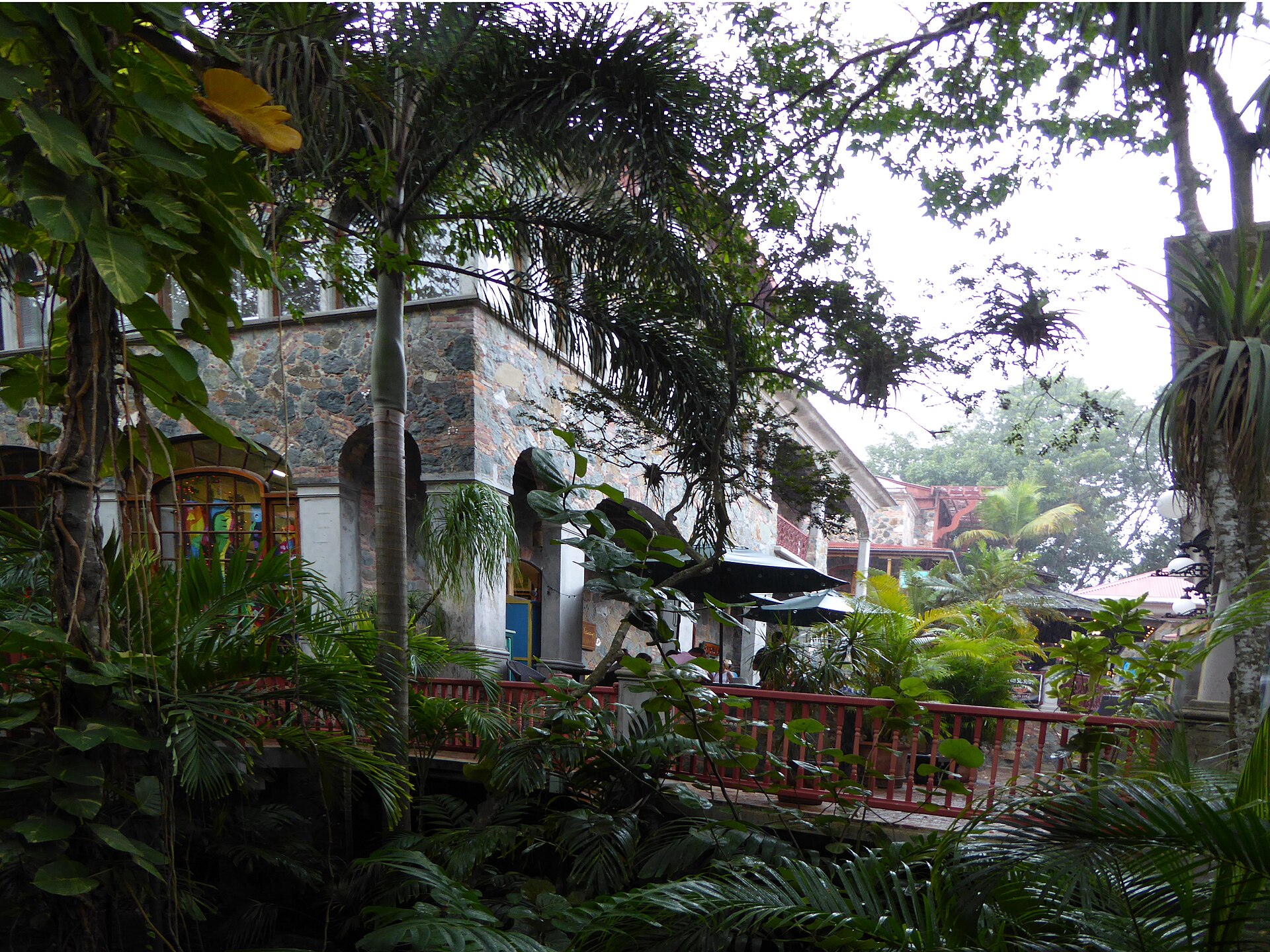 St. John Celebration